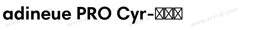 adineue PRO Cyr字体转换